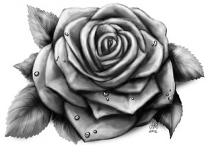 Uthurische Rose, gezeichnet von Janina Robben